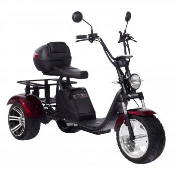 Электроскутер CityCoco SKYBOARD Trike BR80